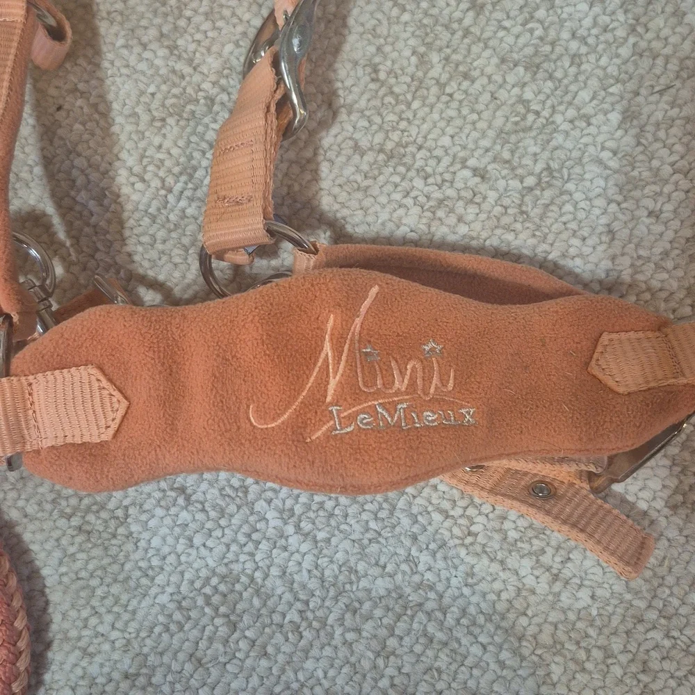 Lemieux Mini Vogue Halter Apricot - Picture 3 of 3